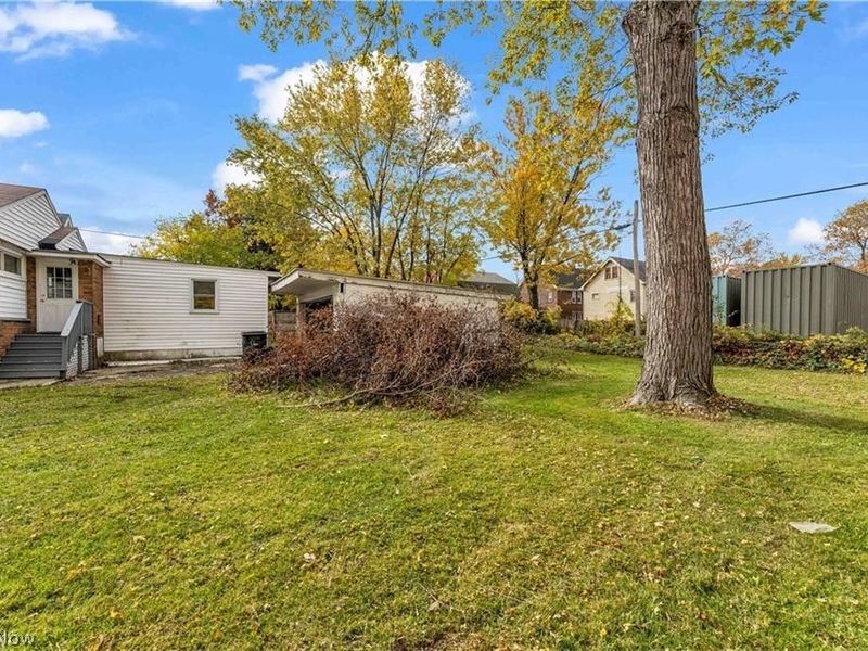664 E 162nd Street, Cleveland, OH 44110 Photo 4