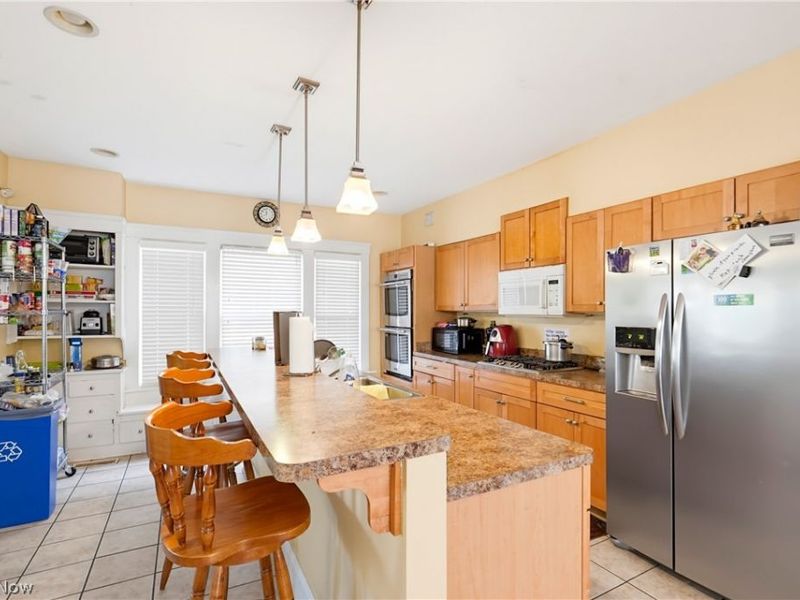 1463 E 105th Street, Cleveland, OH 44106 Photo 11