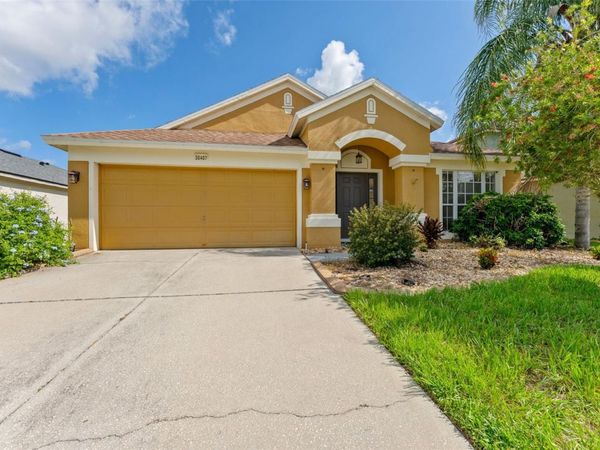30407 STAPLETON STREET , WESLEY CHAPEL, FL 33545