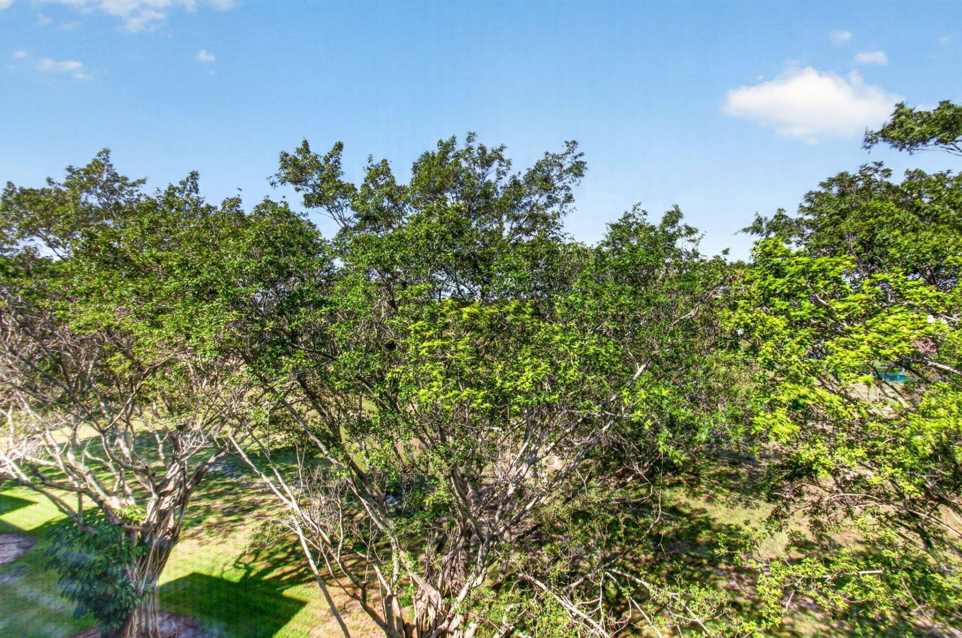 6461 NW 2nd Avenue, Unit 505, Boca Raton, FL 33487 Photo
