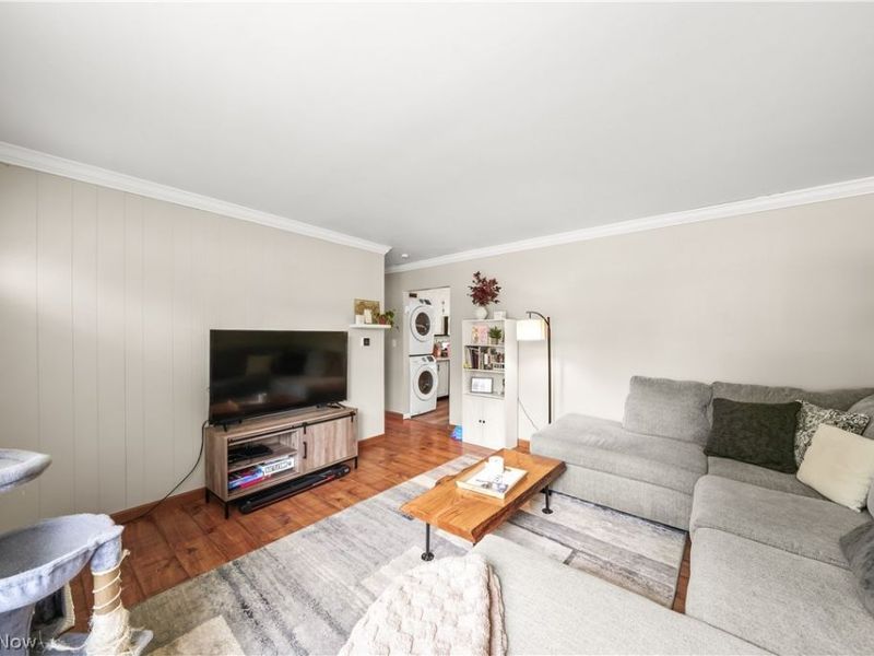 3388 Olian Avenue NW, Warren, OH 44485 Photo 9