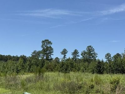 0 Lathan Drive, Orangeburg, SC 29118