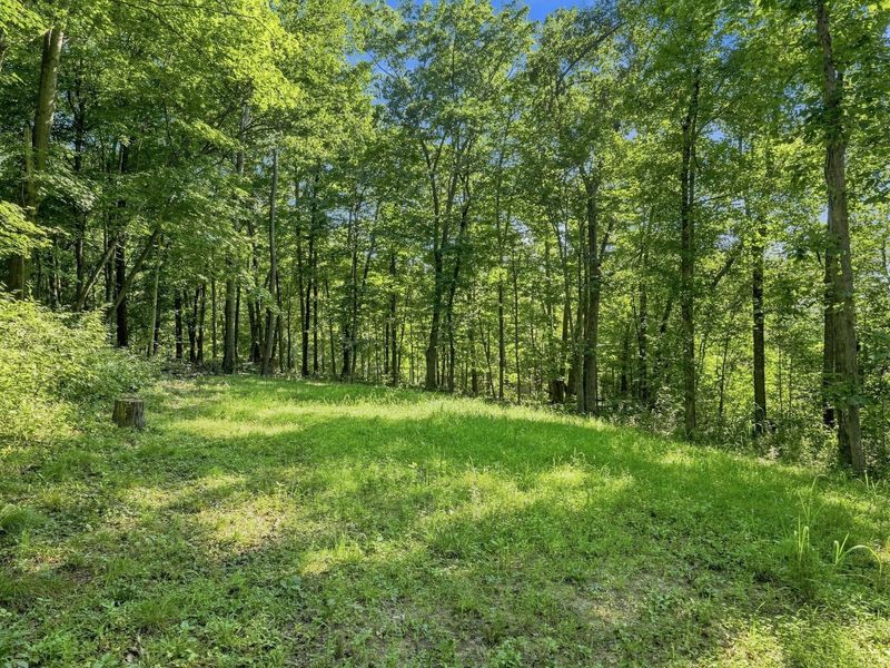 7118 Mount Tabor Road, Chillicothe, OH 45601 Photo 39
