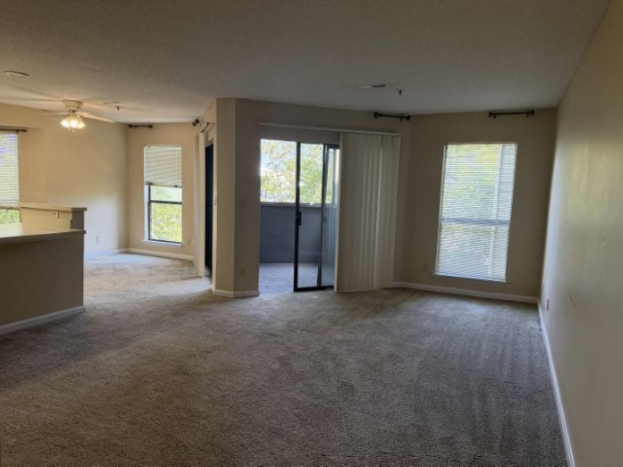 1101 Possum Trot Rd. Photo 11