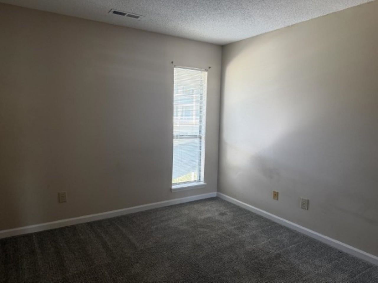 1101 Possum Trot Rd. Photo 5