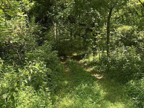 0 Martin Road , Unit 7, Portland, TN 37148
