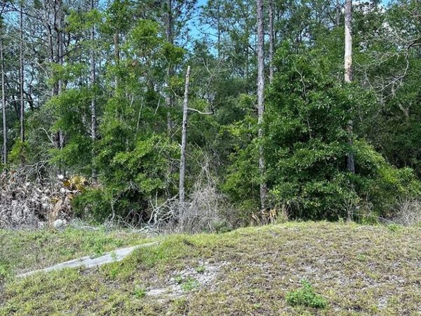 00 NE Willstone Way, Steinhatchee, FL 32359