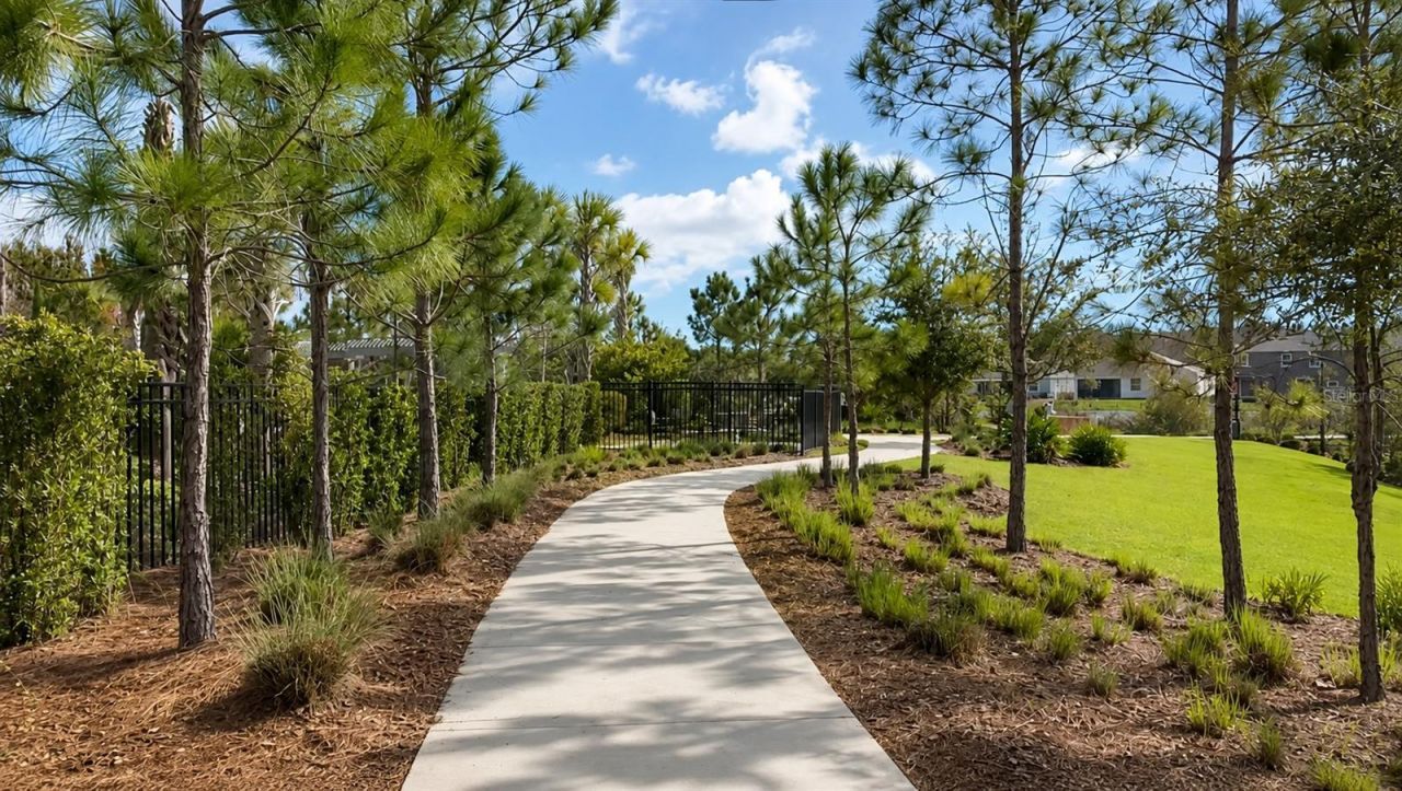 32935 Kaloko Road , Wesley Chapel, FL 33543 Photo