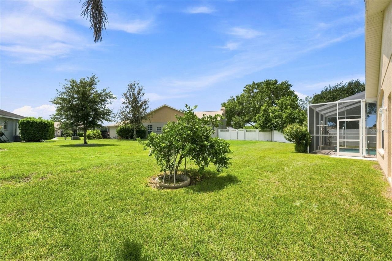 12452 Roseland Drive, New Port Richey, FL 34654 Photo