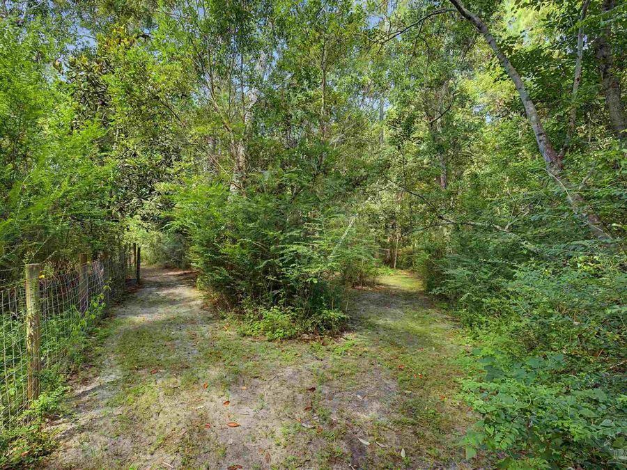 Property Image 43
