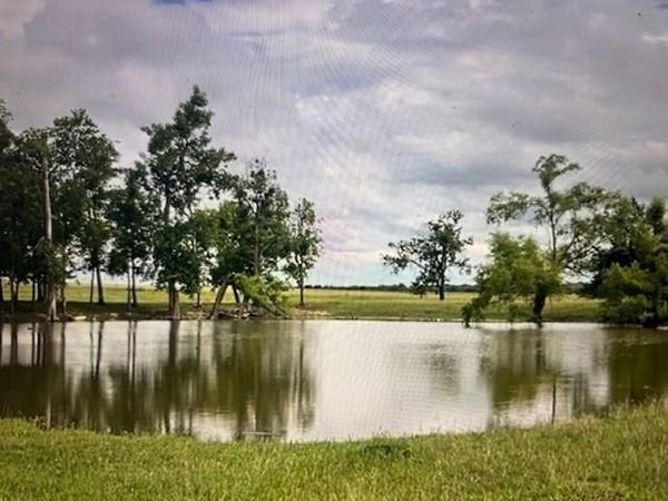1351 CR 320, Granger, TX 76530