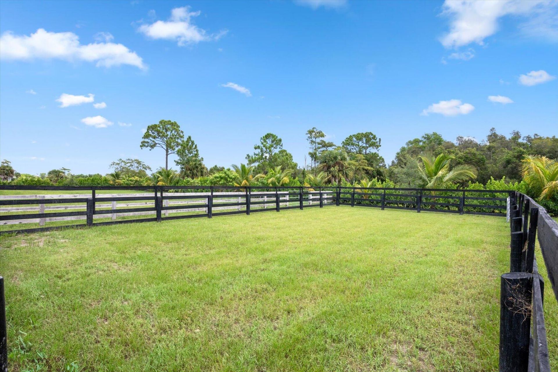 2440 Buck Ridge Trail, Loxahatchee, FL 33470 Photo