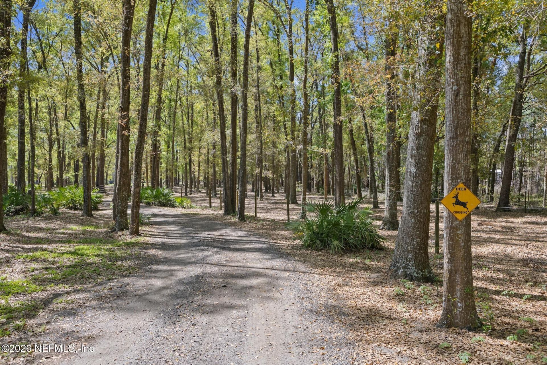25743 NW 62nd Avenue, High Springs, FL 32643 Photo