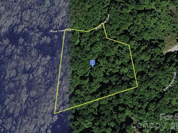 111 Birch Tree Cove , Franklin, NC 28734