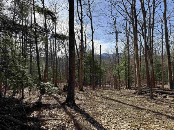 00 Conway Road, Unit 46, Madison, NH 03849
