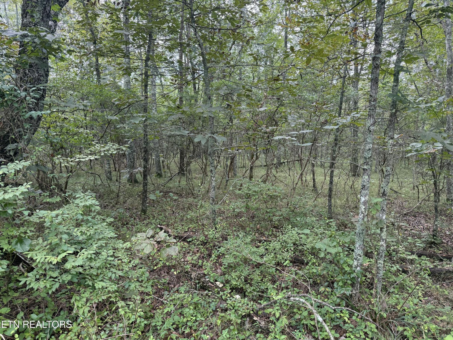130 Blackburn Drive, Crossville, TN 38558 Main Photo