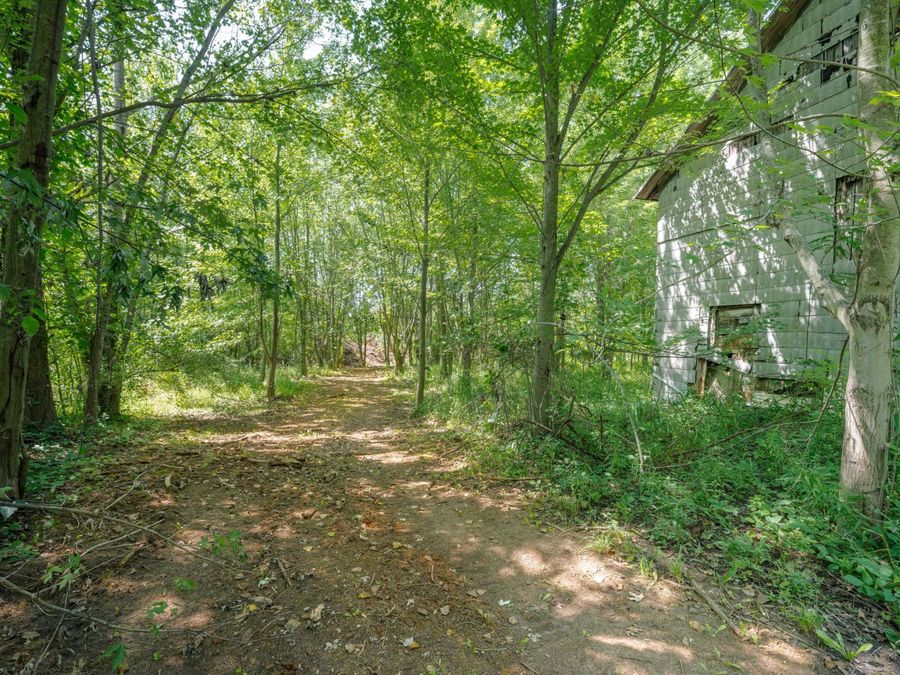 Property Image 39
