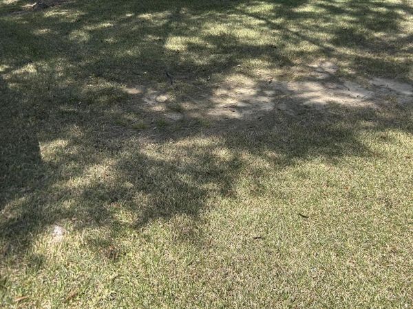 505 N James Ave. , McComb, MS 39648