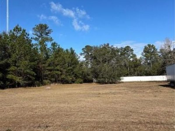 0 Shellman Bluff Road, Townsend, GA 31331