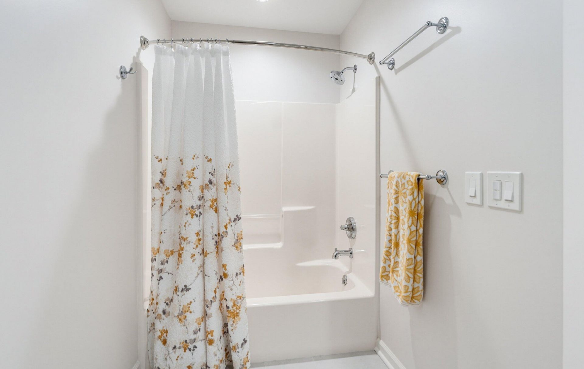 2509 Brighton Lane Photo 43