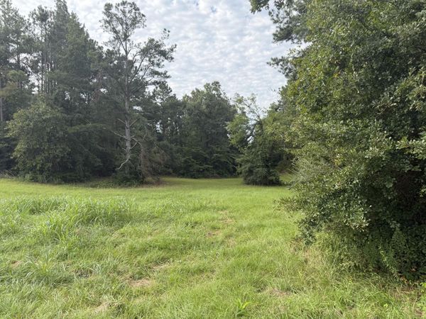 Co Rd 1303, Guntown, MS 38849