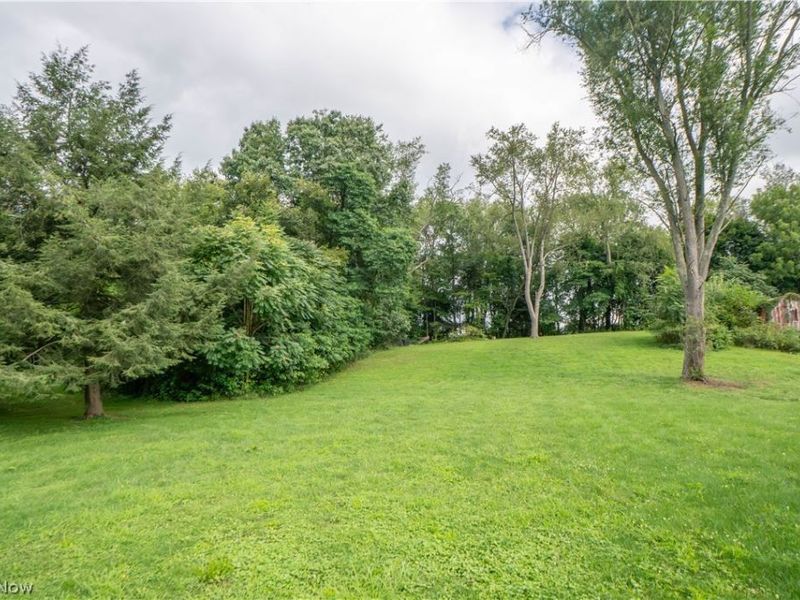 3045 Hayne Road, Akron, OH 44312 Photo 26