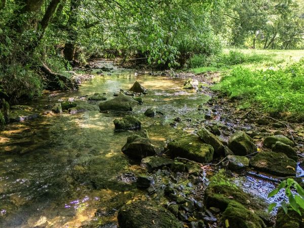 2203 Stones River Rd , Woodbury, TN 37190