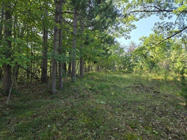 12457 Lake Emma Road, Hawks, MI 49743