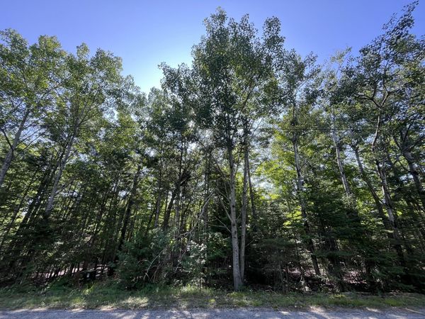 Lot 34 Renwick Circle, Presque Isle, MI 49777