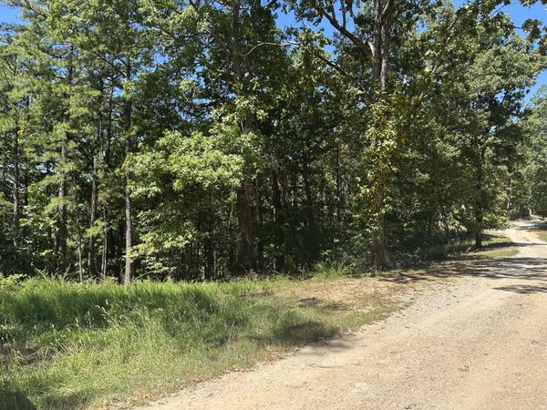 000 Payton Place Drive, Van Buren, MO 63965