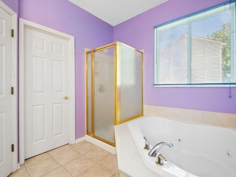 2303 Pleasant Colony Drive, Lewis Center, OH 43035 Photo 21
