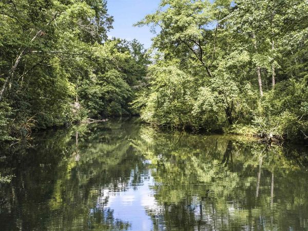 14.5 Road 948, Mentone, AL 35984