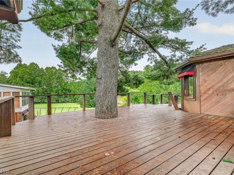 1436 Magnolia Road SW, Dellroy, OH 44620 Photo 40