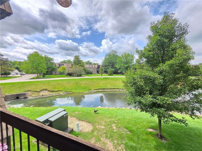9630 Cove Drive, North Royalton, OH 44133 Photo 19