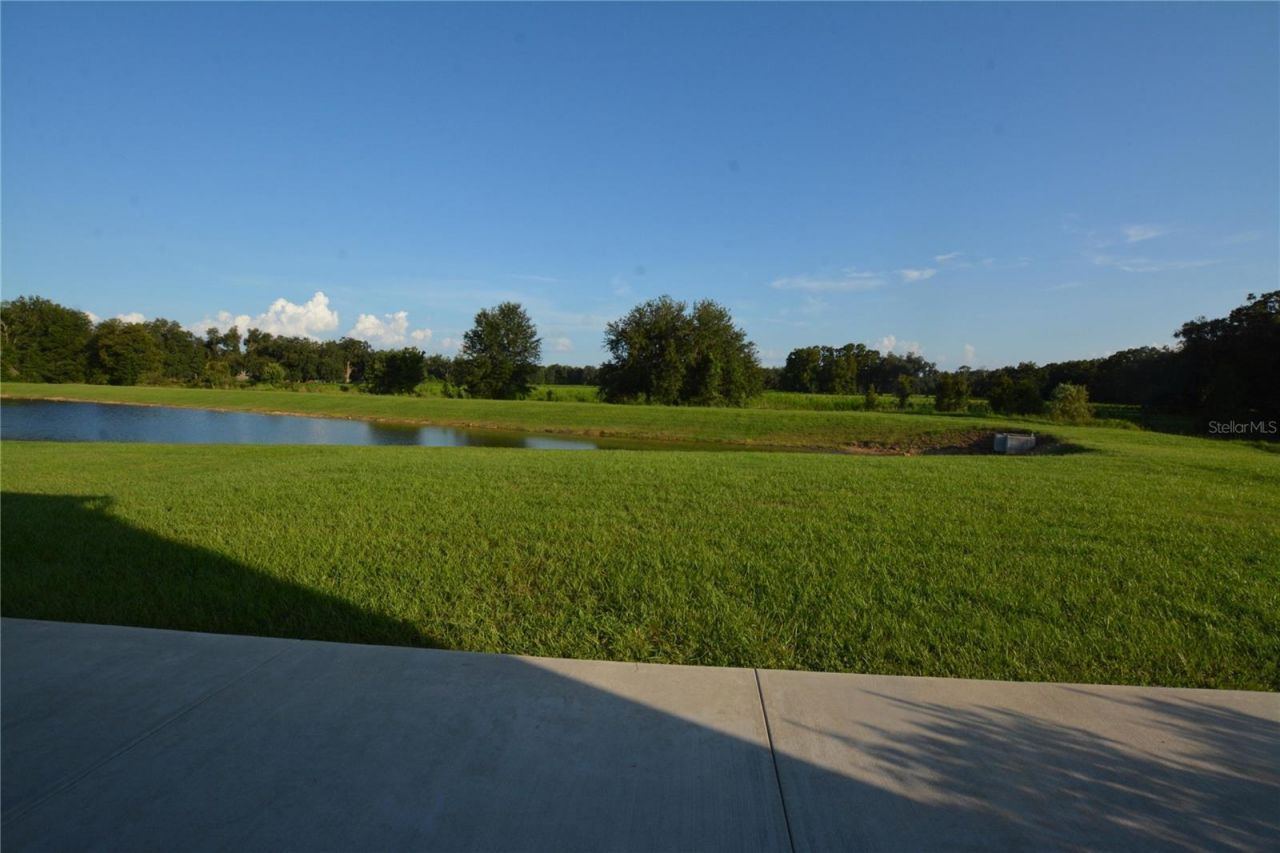 3070 Forrest Plum Court , Zephyrhills, FL 33540 Photo