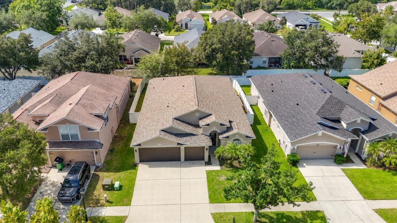 34434 Windknob Court , Wesley Chapel, FL 33545 Photo
