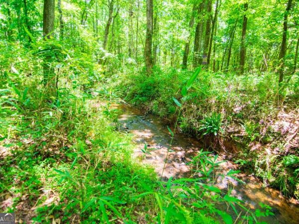 0 White Road, Pine Mountain, GA 31822