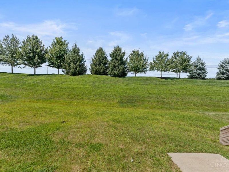 3645 Silver Queen Court, Lebanon, OH 45036 Photo 48