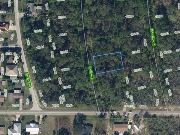 209 Harmony Court , Lake Placid, FL 33852