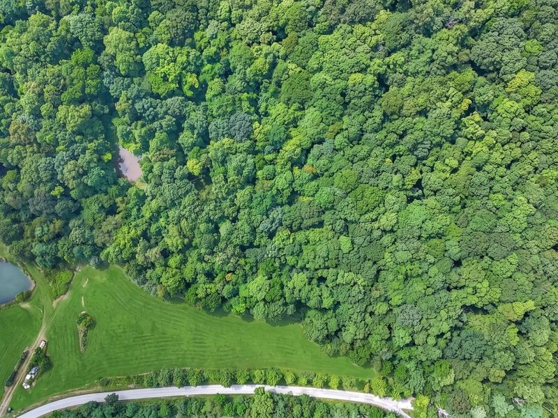11283 Maysville-Williams Road, Unit LOT 3, Logan, OH 43138 Photo 13