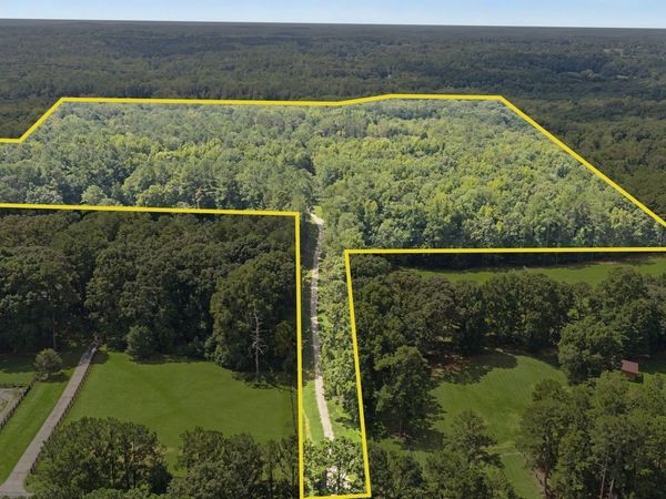 38.682 ACRES Btwn 446 & 478 Rising Star Rd., Brooks, GA 30205