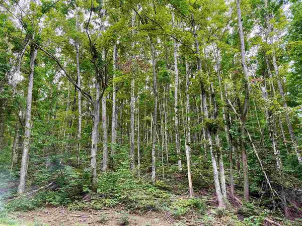 200 Beau Rivages Drive, Unit 47, Harbor Springs, MI 49740