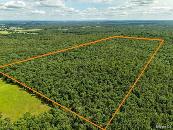 00 Fire Tower Road , Steelville, MO 65565
