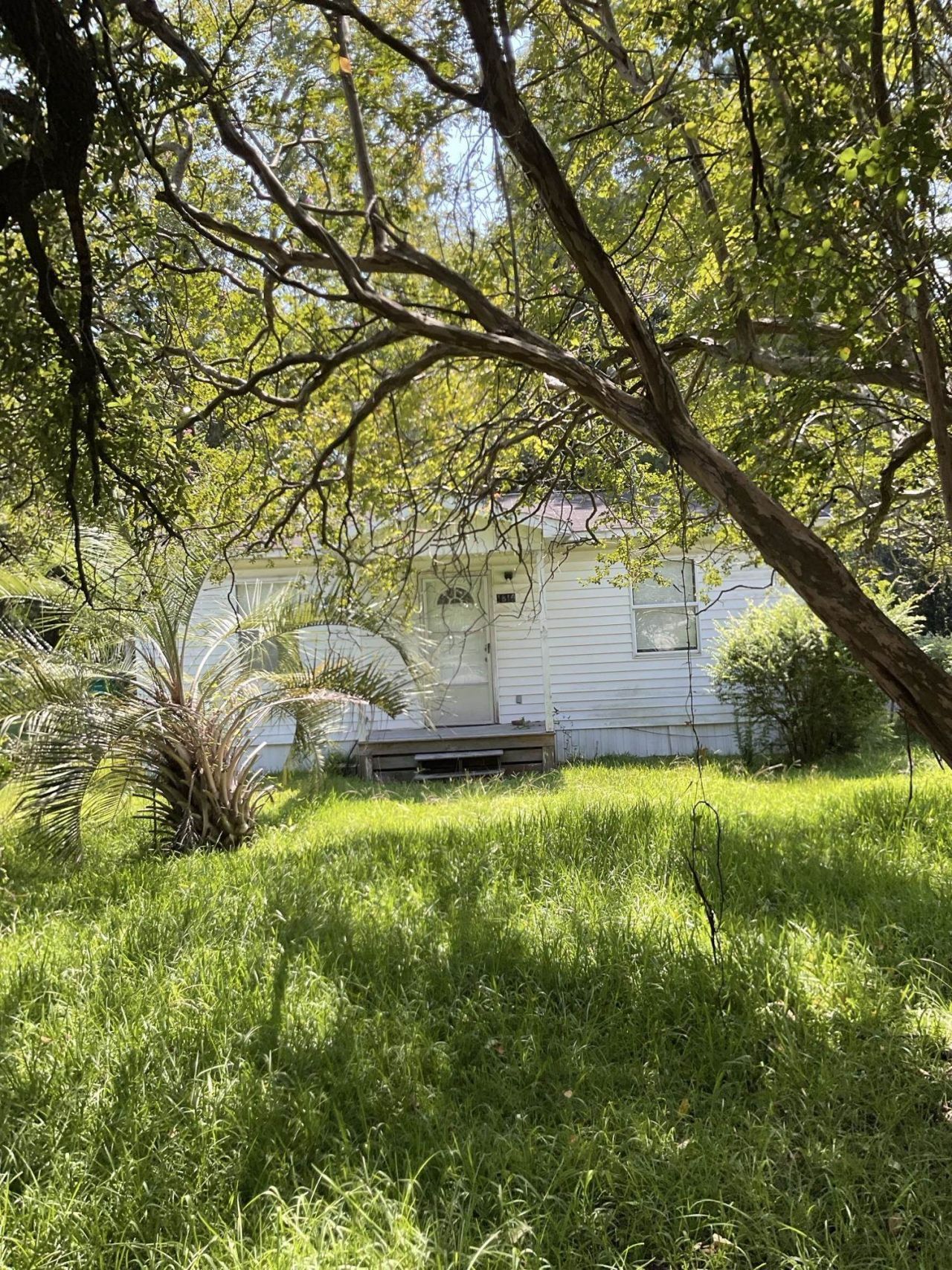 1819 Gilbert Ln. Photo 2