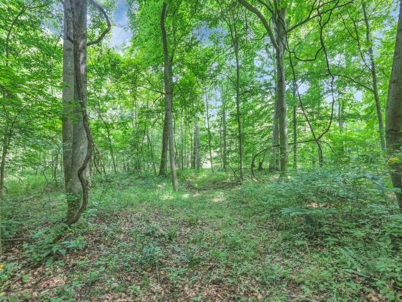0 Maysville-Williams Road, Unit LOT 4, Logan, OH 43138 Photo 10