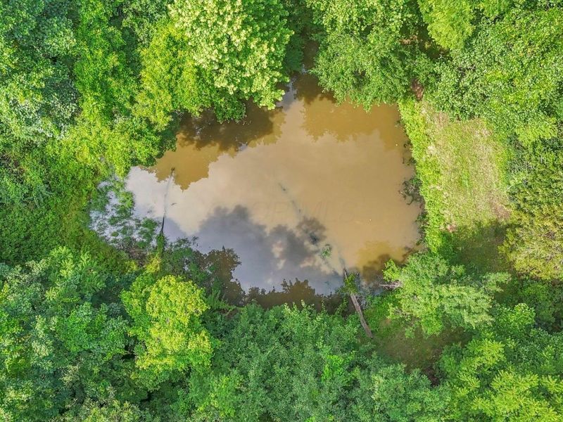 0 Maysville-Williams Road, Unit LOT 4, Logan, OH 43138 Photo 3
