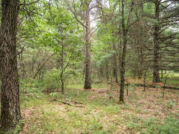 Lot 43 Morros Mile Road, Necedah, WI 54646