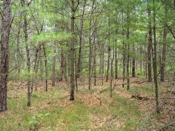 Lot 44 Morros Mile Road, Necedah, WI 54646
