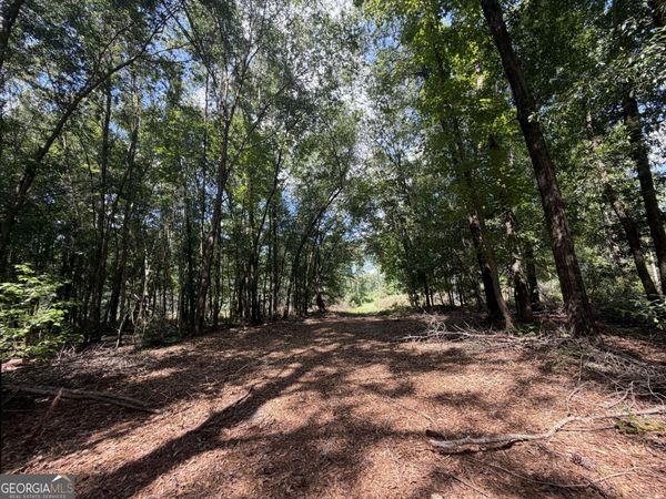 10 Sunhill Grange Road, Davisboro, GA 31018