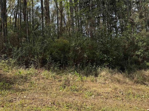 119 Woodside Drive, Daphne, AL 36526